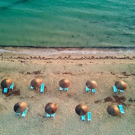 Maria's Paradise * Astrakeri