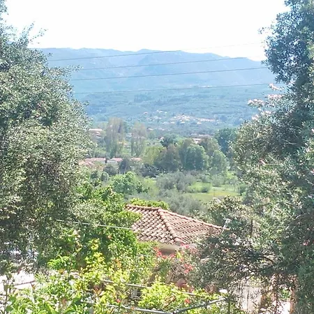 Maria's Paradise Daire *