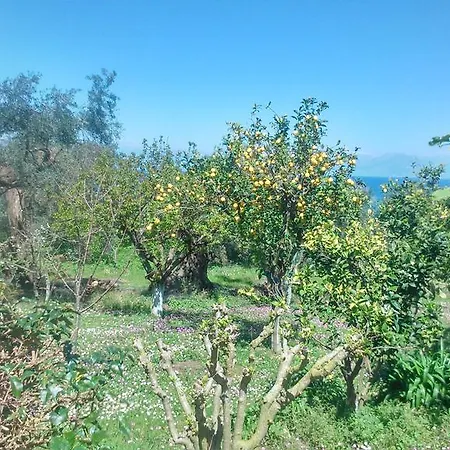 Maria's Paradise Daire *