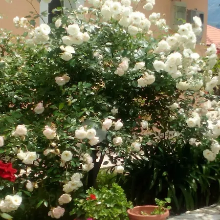 Maria's Paradise *
