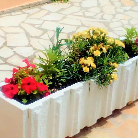 Maria's Paradise Daire *