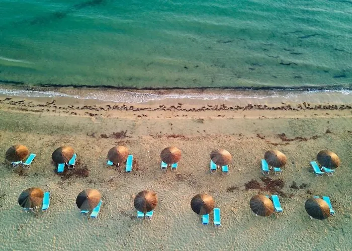 Maria's Paradise * Astrakeri