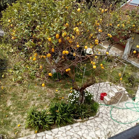 Apartament Maria's Paradise Astrakeri