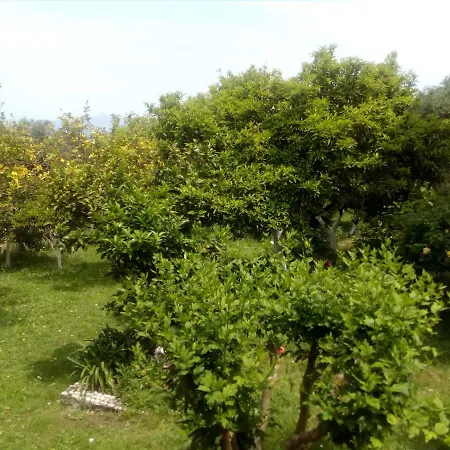 Apartament Maria's Paradise Astrakeri