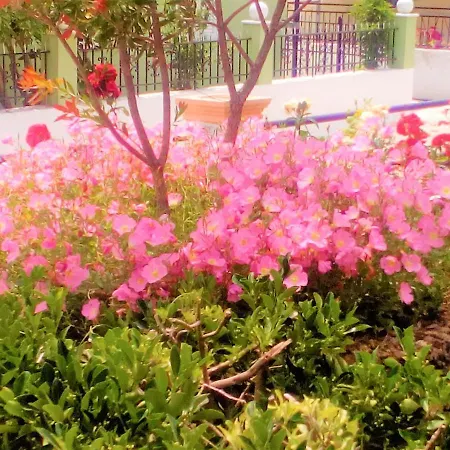 Appartement Maria's Paradise